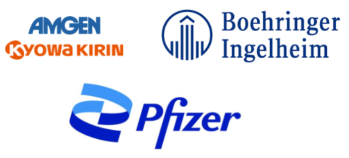 GlobalSkin is grateful to its partners for this community-building initiative. Image