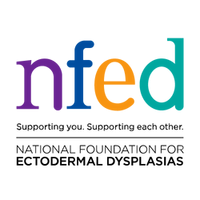 nfed logo 1