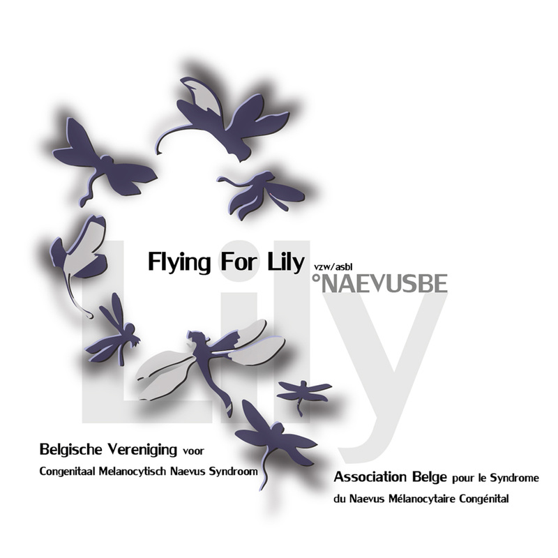 imagefile&photo=Flying_For_Lily_60d5e86b3910e544aae5cc415775782f.jpg